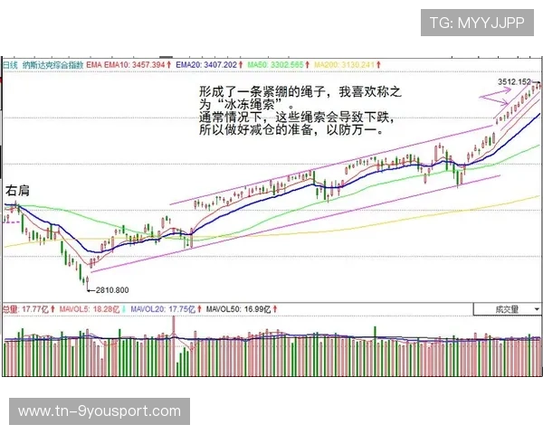 模型视角：比赛概率与关键点——揭示胜负背后的数据密码