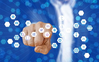 九游娱乐官网-篮球专项技能教学视频资源创新开发，篮球技术教学