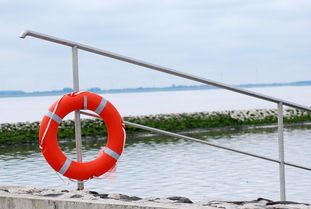 九游.中国官网-游泳与水球队协同训练提高整体表现，游泳联合组队